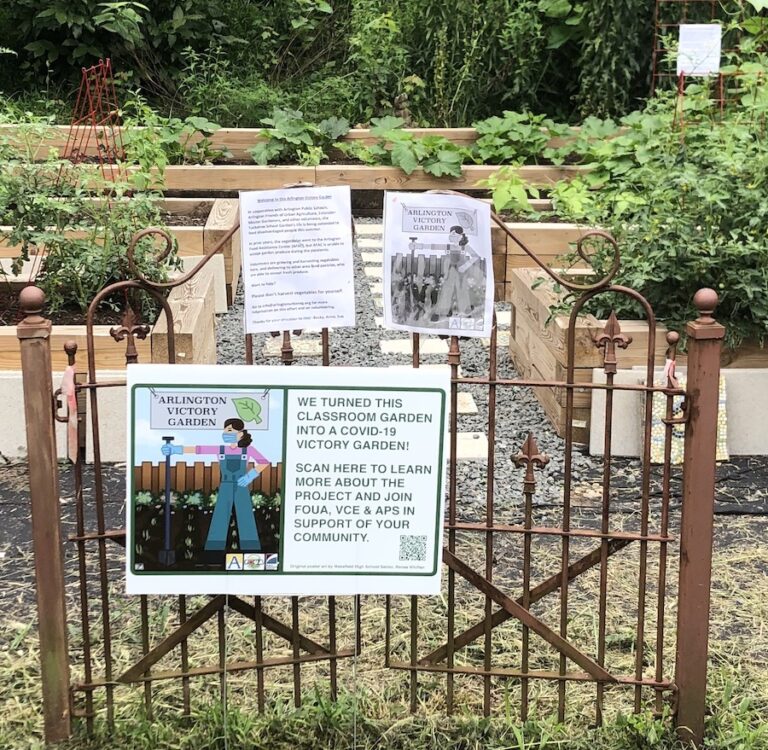 Benefits of School Gardens Arlington Friends of Urban Agriculture (FOUA)
